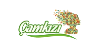 Çamkızı